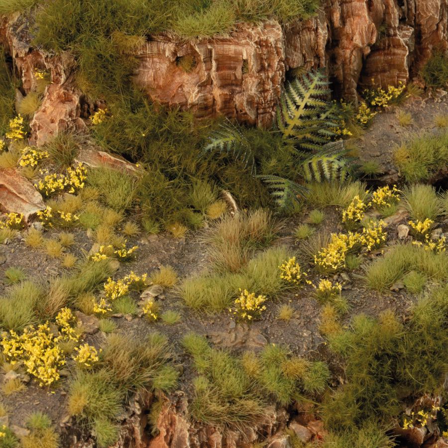Dandelion Tiny Flowers