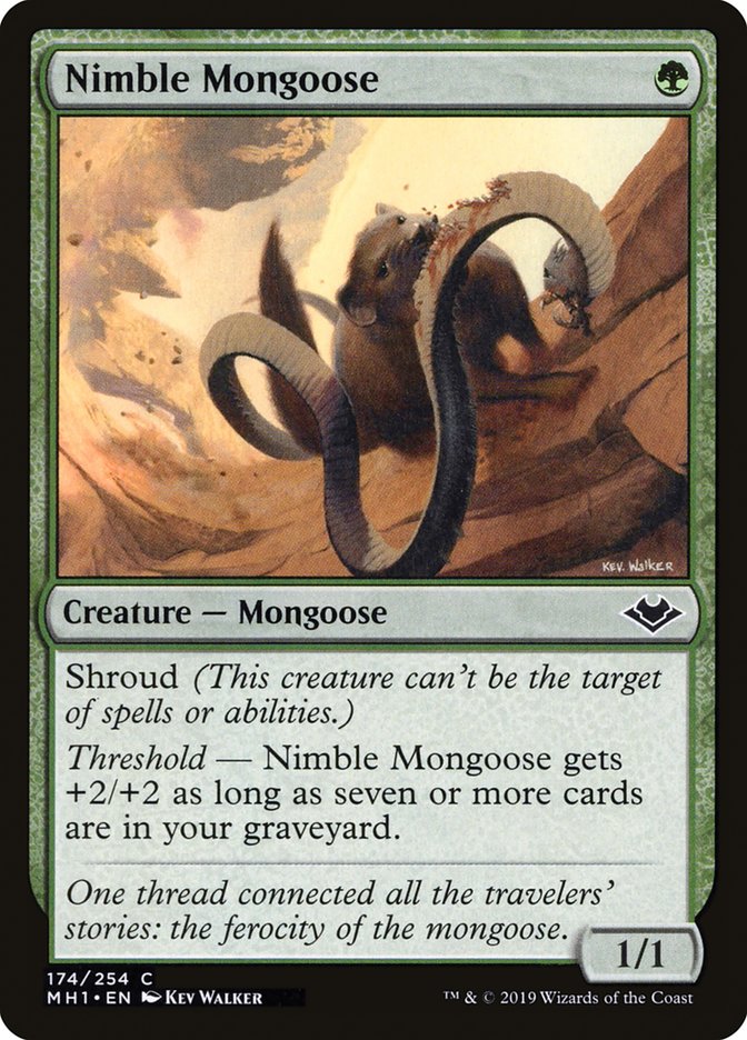 Nimble Mongoose [Modern Horizons] | The Clever Kobold