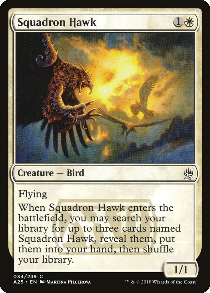 Squadron Hawk [A25 - 34]