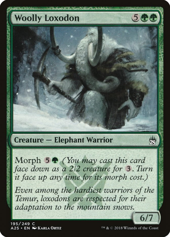 Woolly Loxodon [A25 - 195]