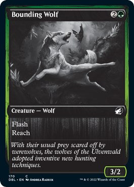 Bounding Wolf [DBL - 170]