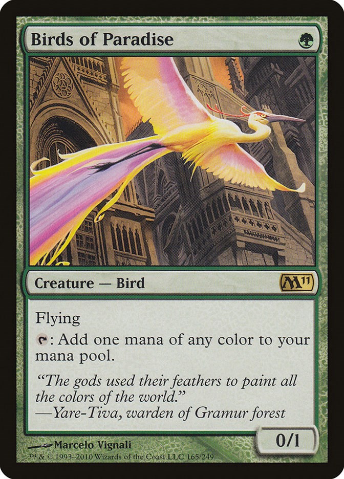 Birds of Paradise [M11 - 165]
