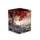 Boulder 100+ Artist Series 2