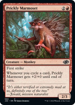 Prickly Marmoset [J22 - 580]