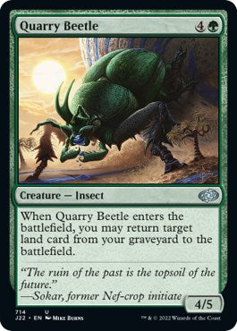 Quarry Beetle [J22 - 714]