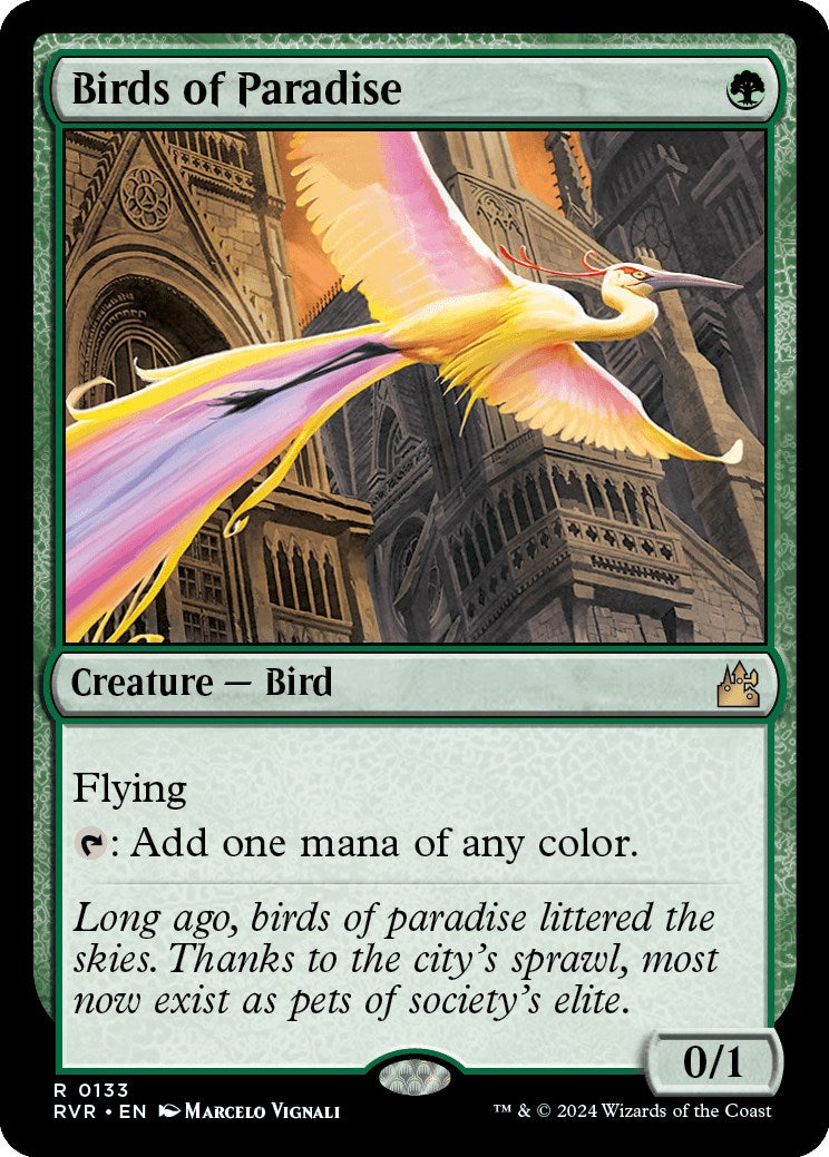 Birds of Paradise [RVR - 133]