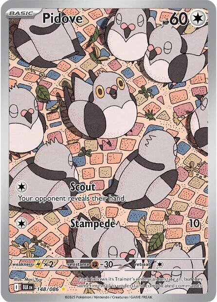 Pidove - 148/086 [BLK - 148/086]