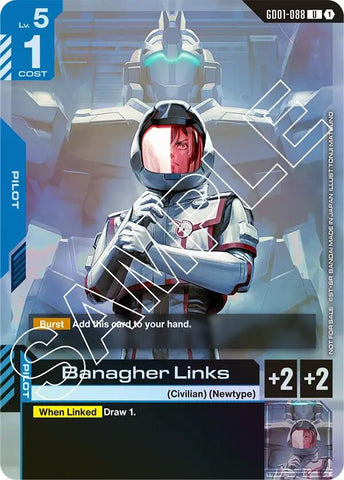Banagher Links (Launch Event)