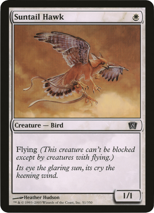 Suntail Hawk (Oversized) [Eighth Edition Box Topper] | The Clever Kobold