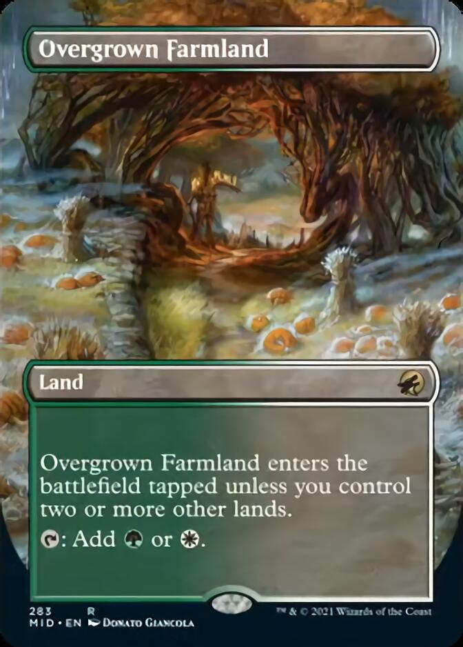 Overgrown Farmland (Borderless Alternate Art) [Innistrad: Midnight Hunt] | The Clever Kobold