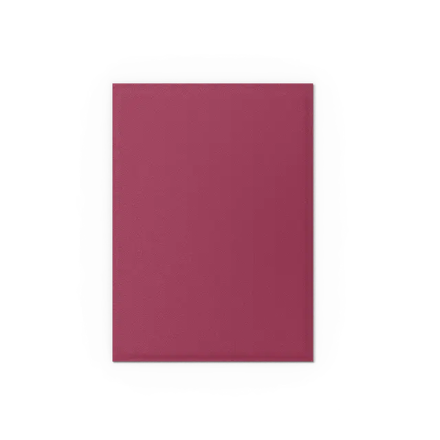 Pomegranate & Gold - Matte Dual Sleeves