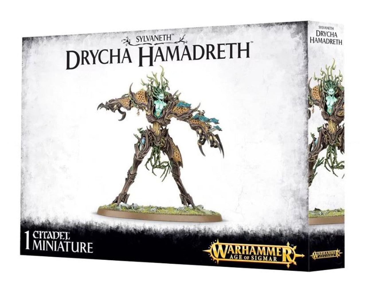 Drycha Hamadreth