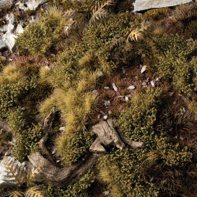 Dark Green Shrubs