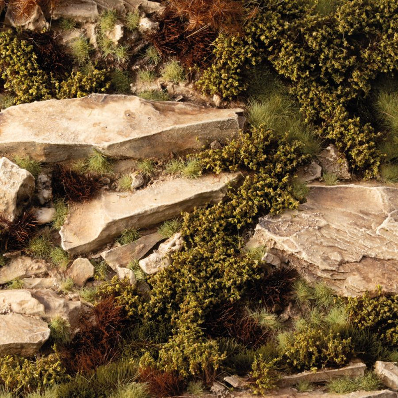 Dry Green Shrubs