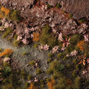 Pink Orchid Tiny Flowers