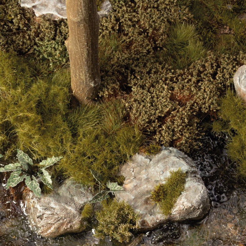 Swamp Shrubs