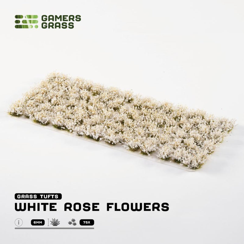 White Rose Flowers