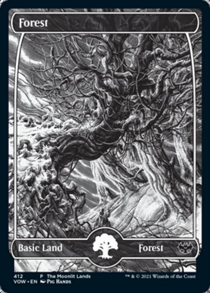 Forest (The Moonlit Lands) (Foil Etched) [Innistrad: Crimson Vow Promos] | The Clever Kobold