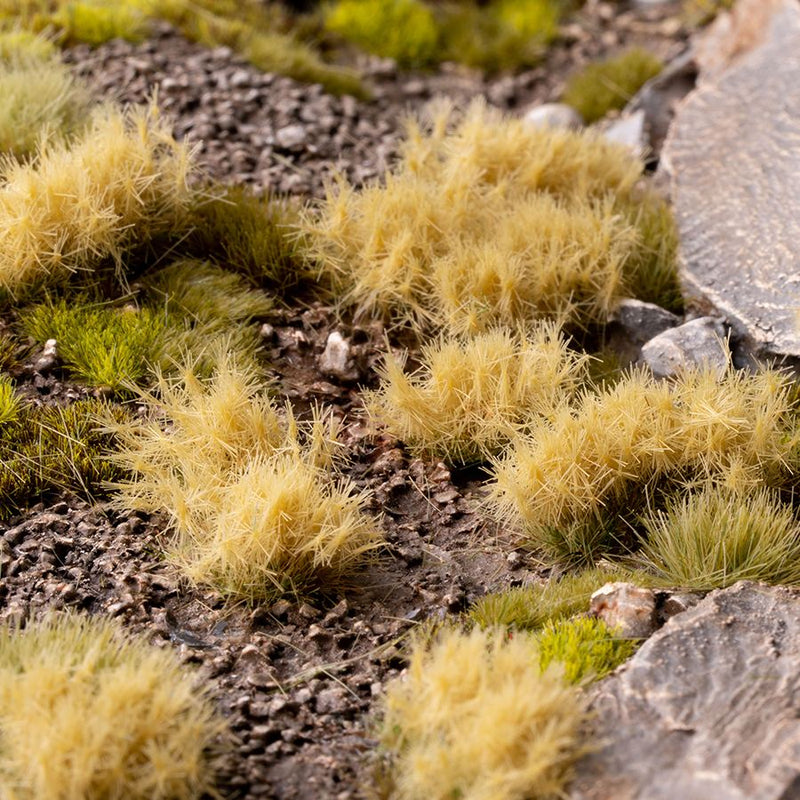 Dense Beige - Wild