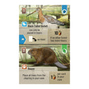 Forest Shuffle: Dartmoor