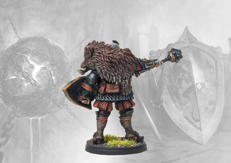 Lore Campaign Pack - Crucible Of Wills: The Stone Face Campaign