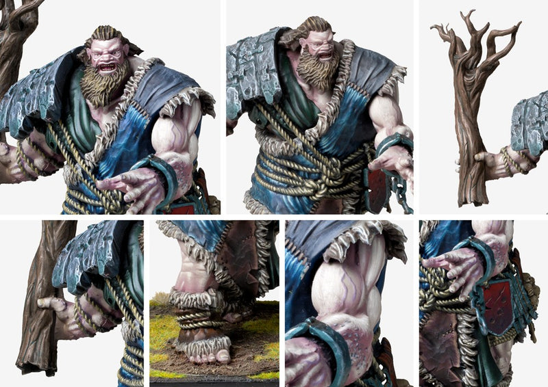 Mountain Jotnar - Nords