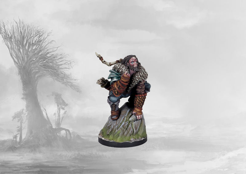 Tactical Retinue - Nords