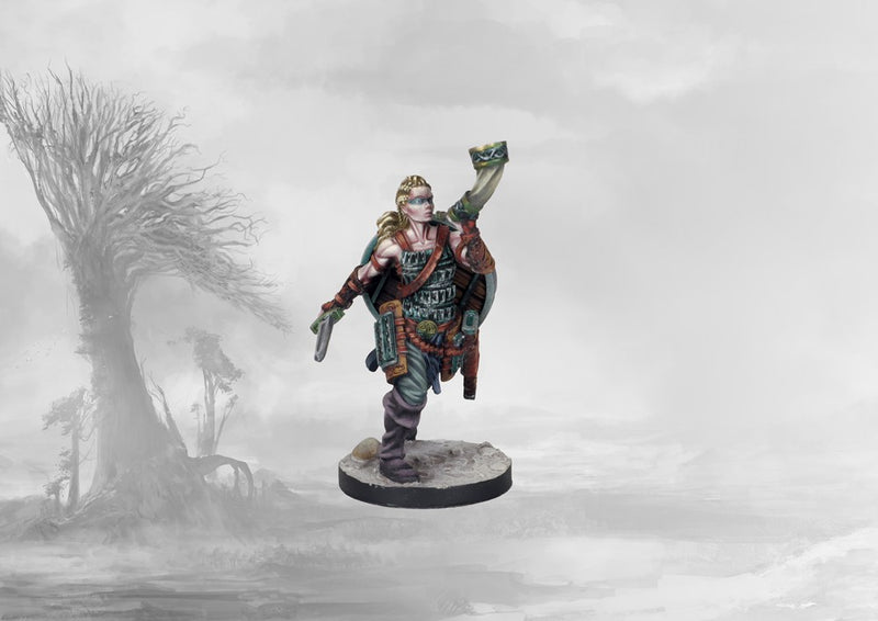 Tactical Retinue - Nords