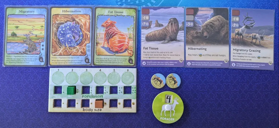 Nature: Module 4 - Arctic Tundra