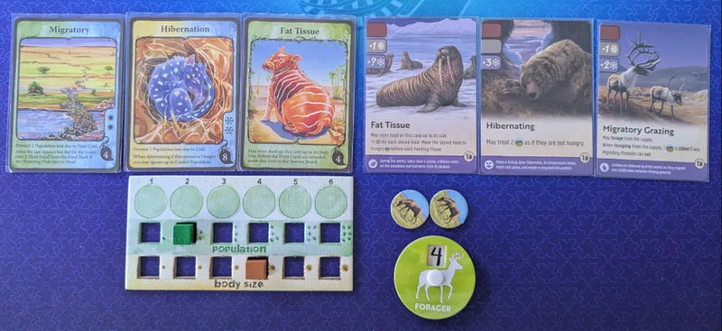 Nature: Module 4 - Arctic Tundra