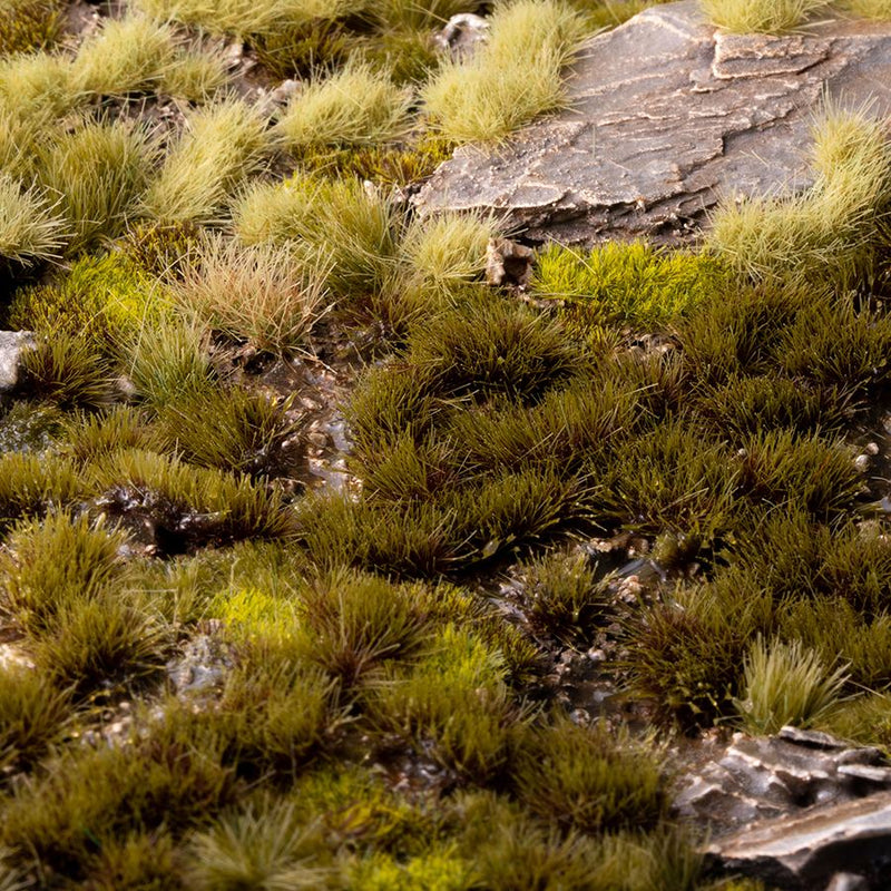 Swamp 4mm - Small