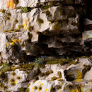 Tiny Tufts Dark Moss