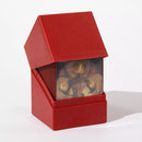 Boulder 100+ Return to Earth Series