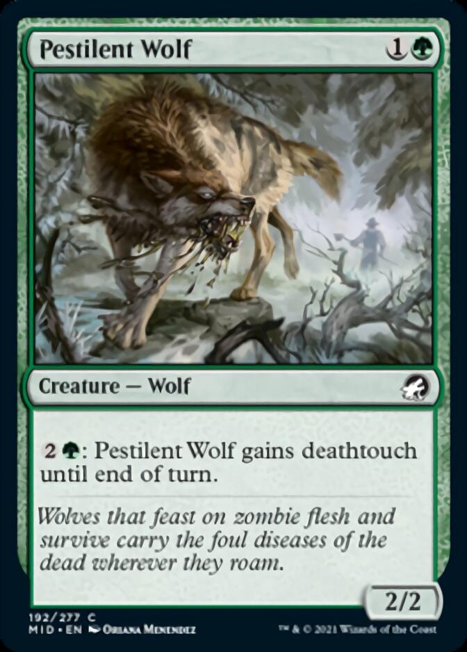 Pestilent Wolf [Innistrad: Midnight Hunt] | The Clever Kobold