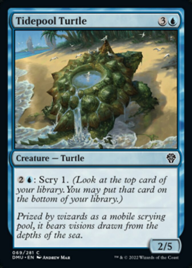 Tidepool Turtle [Dominaria United] | The Clever Kobold