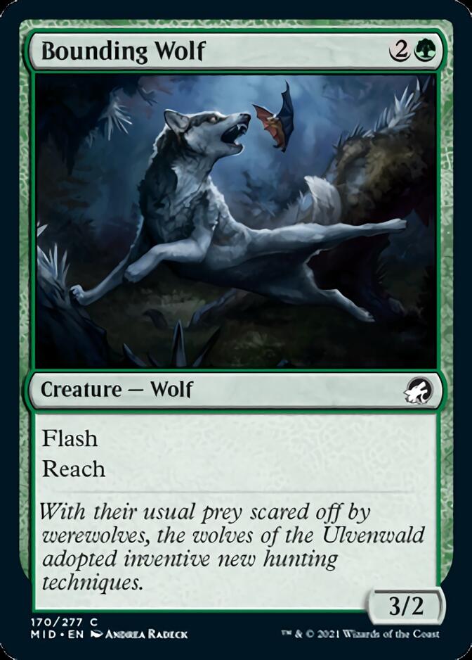 Bounding Wolf [Innistrad: Midnight Hunt] | The Clever Kobold