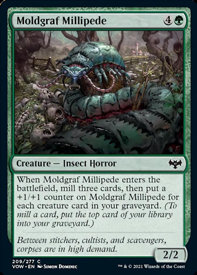 Moldgraf Millipede [Innistrad: Crimson Vow] | The Clever Kobold