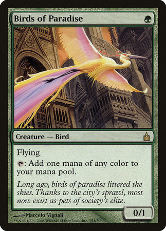 Birds of Paradise [Ravnica: City of Guilds] | The Clever Kobold