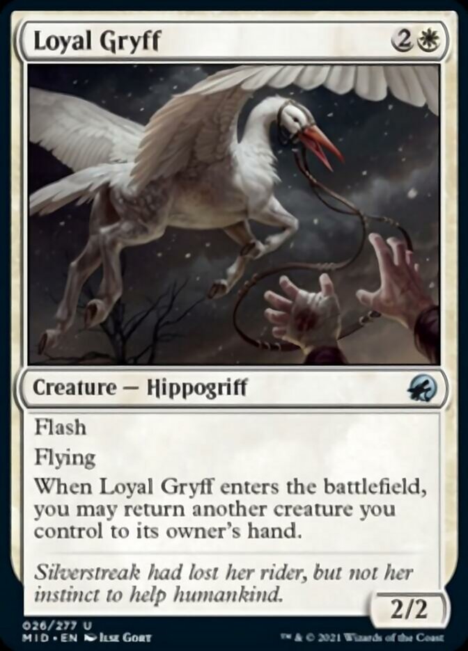 Loyal Gryff [Innistrad: Midnight Hunt] | The Clever Kobold