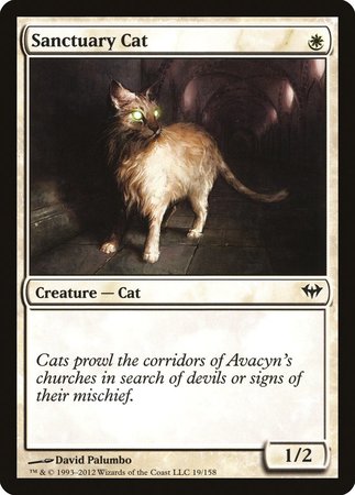 Sanctuary Cat [Dark Ascension] | The Clever Kobold